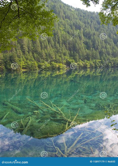 Mirror Lake In Jiuzhaigou China Stock Image Image Of Beautiful