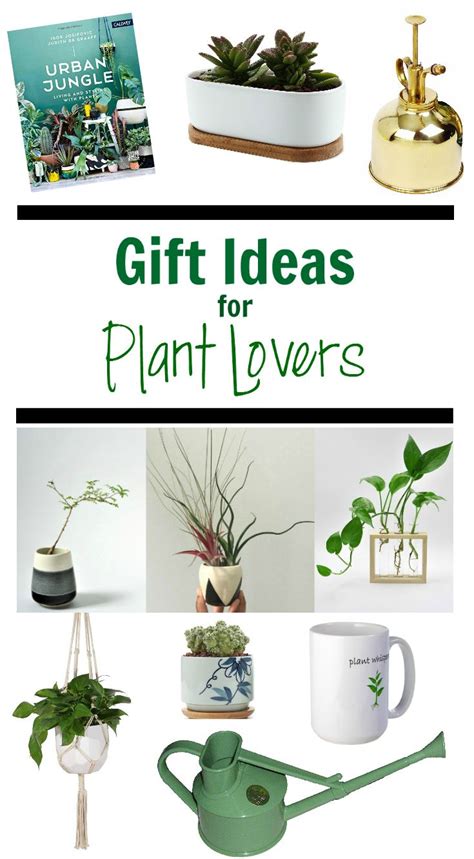 How can you possibly honor such a significant, intricate bond? Gift Ideas For Plant Lovers | Plants, Garden gifts, Indoor ...