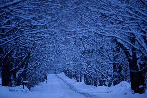 Winter ⛄️ ️ Vermonts Suite Of Seasonsthis Lane Way Of Maples