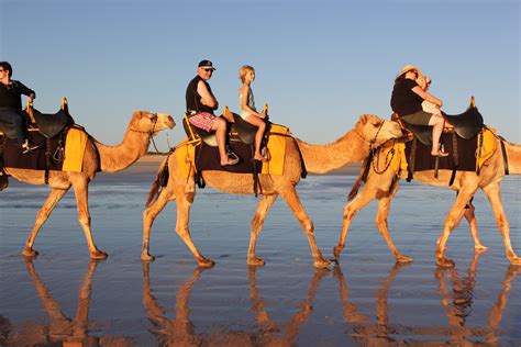 Agadir Camel Ride Ecolodge Adventures