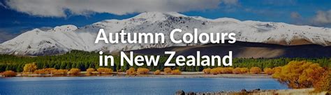 5 Best Places To Visit For Autumn Colours In New Zealand