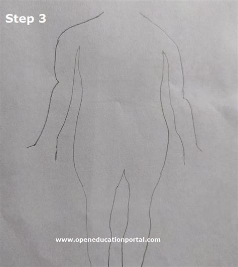 How To Draw Nervous System Step By Step Easy Guide