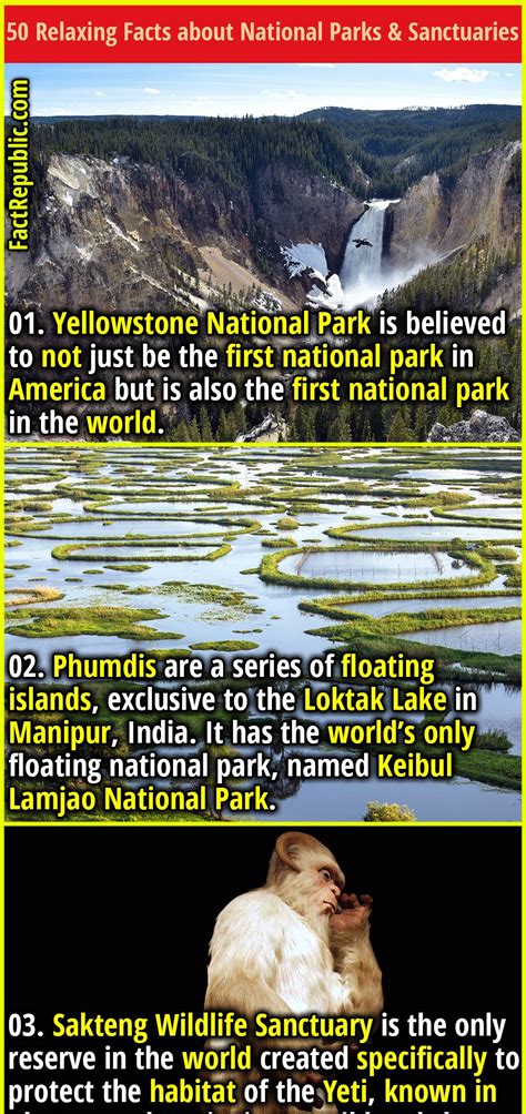 50 Relaxing Facts About National Parks And Sanctuaries Fact Republic Yellowstone National Park