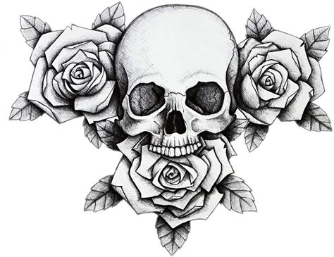Skull Roses Black White My Xxx Hot Girl
