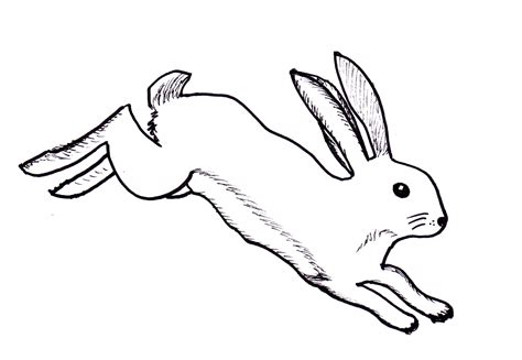 Simple Rabbit Drawing Free Download On Clipartmag