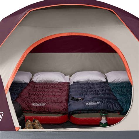 Coleman Skydome 6 Person Camping Tent Blackberry Sportsmans Warehouse
