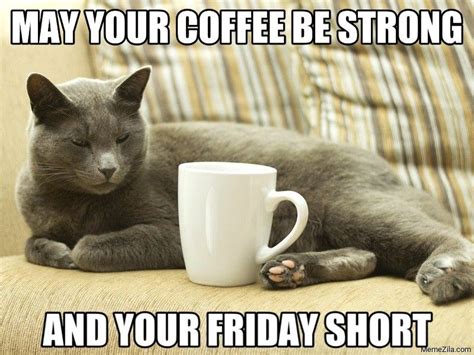 Friday Memes For Work Happy Friday Meme Friday Cat Funny Friday