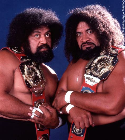 Daily Pro Wrestling History 0308 The Wild Samoans Win Wwf Tag Team