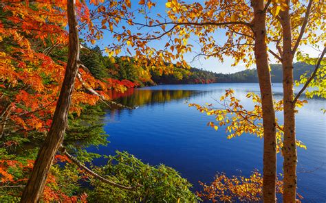 Trees Autumn Lake Hd Wallpaper Nature And Landscape