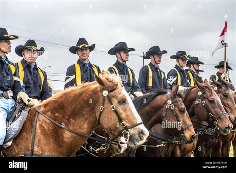 Us Army 1st Cavalry Division Horse Cavalry Detachment Stands By