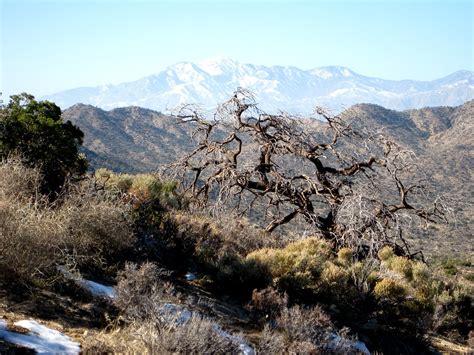 San Gorgonio View From Hi View Nature Trail Hike Jan 2 20 Flickr