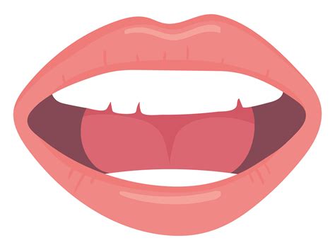 Anatomy Of The Human Mouth 299705 Vector Art At Vecte