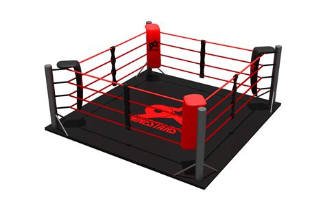 Ring De Boxeo Personalizable Con Suelo Completo Dragonsportseu