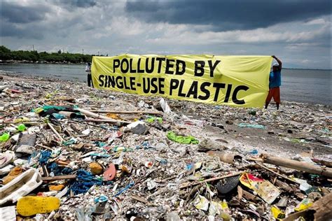 Reducing Single Use Plastic With Legislation Wilderutopia