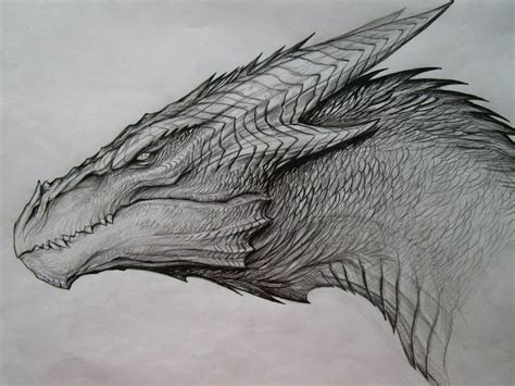 3,626 likes · 5 talking about this. Cool Dragon Sketches at PaintingValley.com | Explore ...
