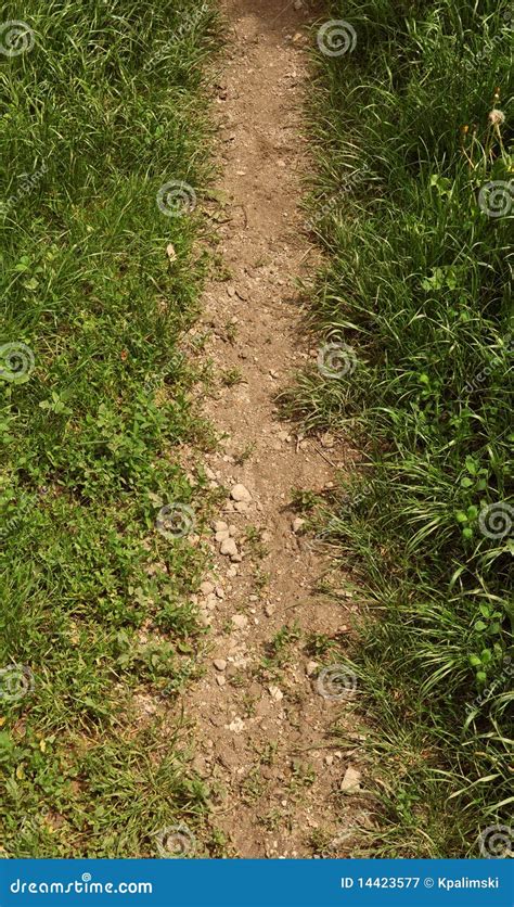 Dirt And Grass Border Path Stock Image Image Of Nature 14423577