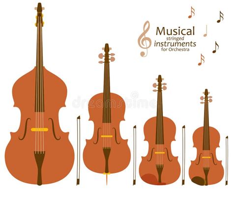 Set Of Line Icons Musical Stringed Instruments For Orchestra Info