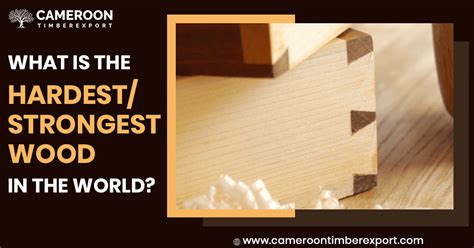 Discover The Worlds 10 Hardest Woods For Woodworking