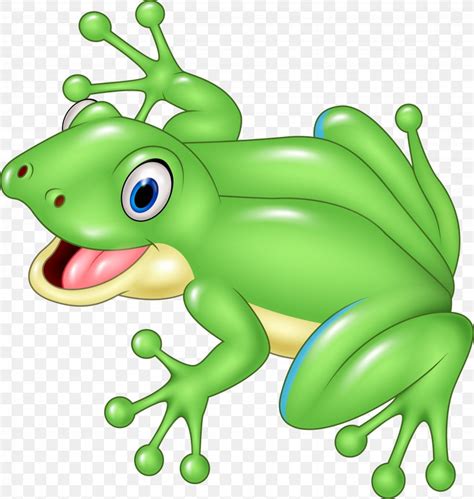 Frog Cartoon Royalty Free Illustration Png 4309x4544px Frog