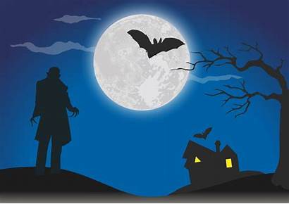 Moon Halloween Almanac Nosferatu Phase Rare Whats