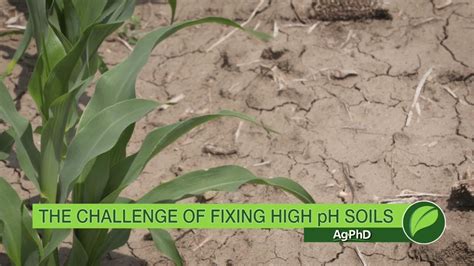 Fixing High Ph Soils 1015 Air Date 9 17 17 Youtube
