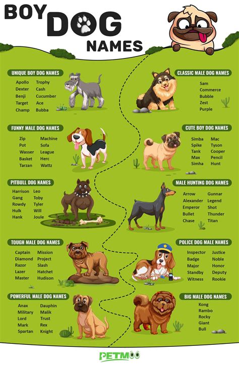 What Are Good Male Dog Names