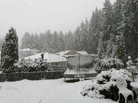 Heavy Snow Falling Across Vancouver Island Monday