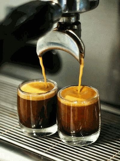 Coffee Shots Tumbex