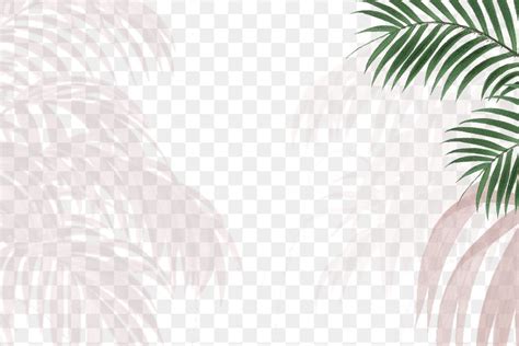 Aesthetic Palm Trees Png Border Premium Png Rawpixel