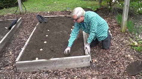 A raised bed in an area with plenty of sun (especially afternoon sun) that also has good drainage will be perfect for sweet potatoes. Kevin Lee Jacobs - Page 7 of 108 - Gardening, Recipes ...
