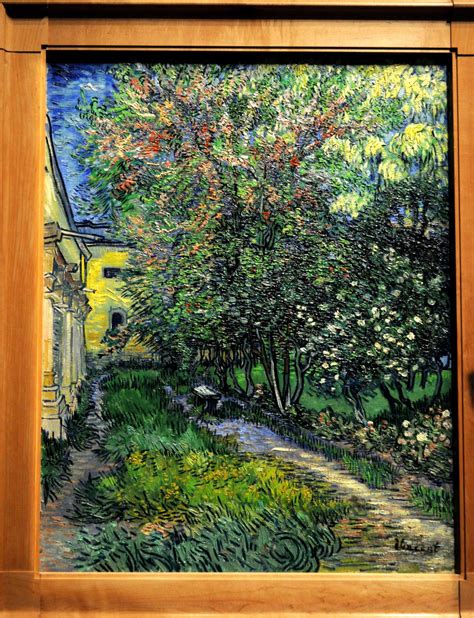 The Garden Of The Asylum Saint Remy Vincent Van Gogh X NGV Australia The