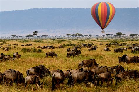 3 Days Serengeti Balloon Safari Tanzania Hot Air Balloon Safaris