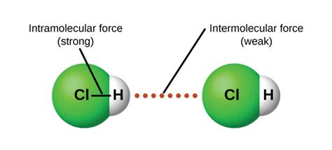 Polarity And Intermolecular Forces Chemistry Libretexts My Xxx Hot Girl