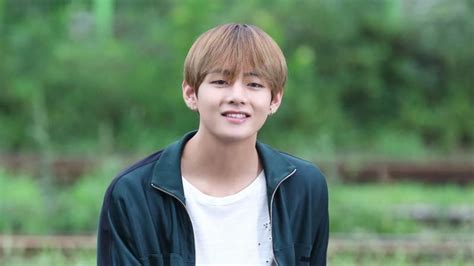 Profile of BTS's V: Age, Facts, Abs, Dramas, and Plastic Surgery ...