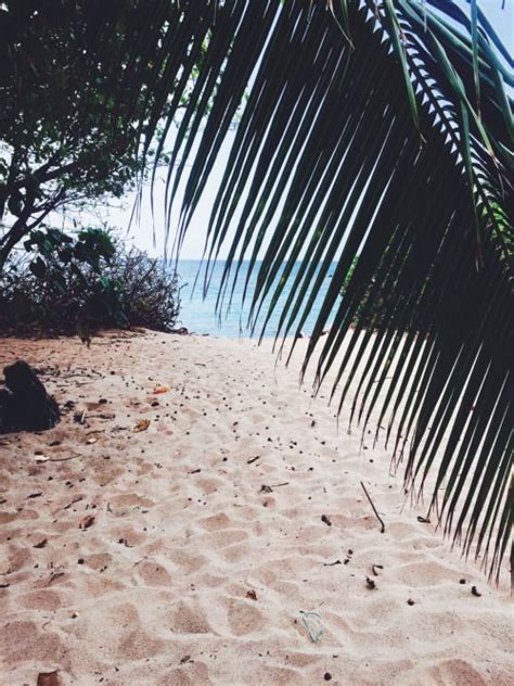 Pinterest Nuggwifee☽ ☼☾ B E A C H L I V I N Beach Summer Summer Beach