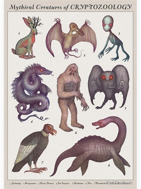 Mythical Creatures Of Cryptozoology Art Print For Sale By