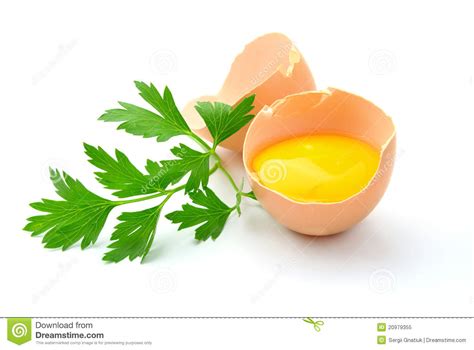 Broken Egg Yolk With A Bright Stock Image Image Of Yellow Animal