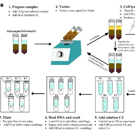 The Modified Procedure Of Dna Extraction Method A The Qiagen Download Scientific Diagram