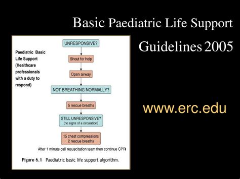 Ppt Basic Paediatric Life Support Powerpoint Presentation Free Download Id9149549