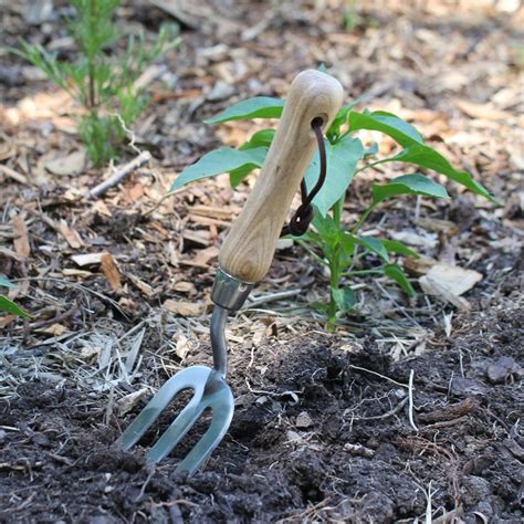 Stainless Steel Gardening Fork The Seed Collection
