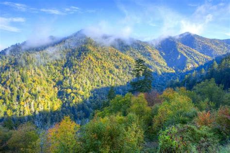 Whats So Great About Spring In The Smoky Mountains