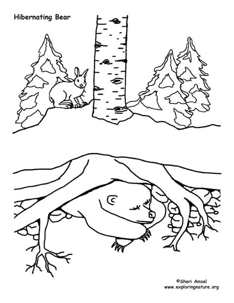 You could also print the picture while using the print button above the image. Winter Animal Mural - Survival Adaptations