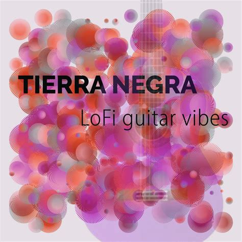 Lofi Guitar Vibes Tierra Negra