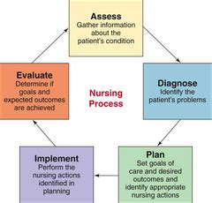 An example of this would be, during the initial assessment process. The nursing process is a scientific method used by nurses to ensure the quality of patient care ...