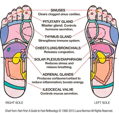 Acupressure Chart For The Foot Check Out The Sinus Point Acupressure My Xxx Hot Girl