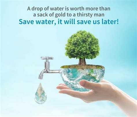 Save Water It Will Save Allegiance Water Management Solutions In
