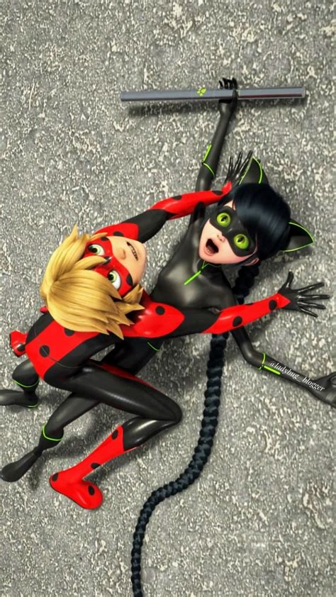 Miraculous Miraculousladybug Ladynoir Misternoir Misterbug Ladybug