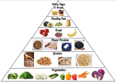 Let's uncover the truth behind the vegan food pyramid. Vegetarian Food Pyramid : vegetarian