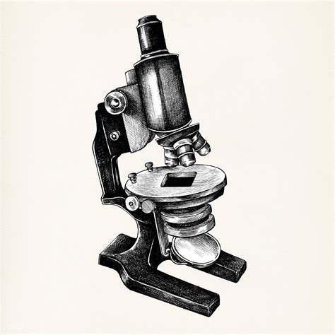Hand Drawn Microscope Isolated On Background Free Image By Rawpixel