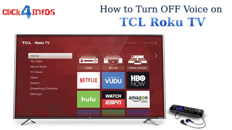 How To Turn The Voice Off On Roku Tv - How to Turn OFF Voice on TCL Roku TV